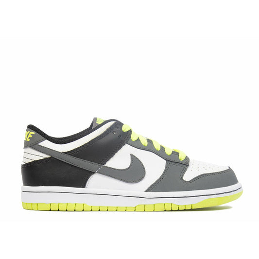 Dunk Low "Neon" (GS/Juniors) (2010)